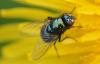 314886 – Photo : Christian Berquer – France (05)