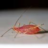 314725 – Photo : Cédric Mondy – France (94)
