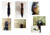 314343 – Photo : Jacques Citoleux – France (44)