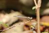 314851 – Photo : Emile – France (83)