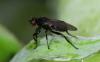 315276 – Photo : Jean-Michel GAREL – France (89)