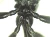 Trypoxylon figulus