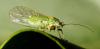 315882 – Photo : Cédric Mondy – France (88)