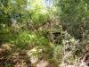 315825 – Photo : Mathurin CARNET – France (71)