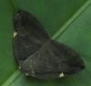 315186 – Photo : jpjepilou – Bénin