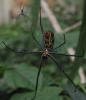 315528 – Photo : jpjepilou – Bénin