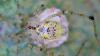 315175 – Photo : DL – Thaïlande