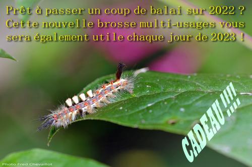Indéterminé