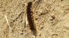 316476 – Photo : Vincent Mathy – France (14)