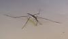 316900 – Photo : Arthropa - Benoit Martha – France (21)