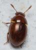 316600 – Photo : André Burgers – Espagne