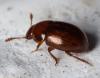 316601 – Photo : André Burgers – Espagne