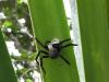 316248 – Photo : laurette roussel – Madagascar