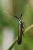 316013 – Photo : Guillaume Larregle – France (77)