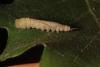 316929 – Photo : Simon Thevenin – France (13)