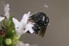 316357 – Photo : Jean-Sébastien Carteron – France (67)