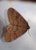316659 – Photo : Catherine Reymonet-Smitten – France (19)