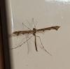 316806 – Photo : Aymeric Fourtier – France (83)