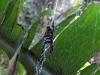 316249 – Photo : laurette roussel – Madagascar