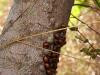316464 – Photo : laurette roussel – Madagascar