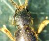 317956 – Photo : Bouquerel Jonathan – France (57)