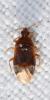 317491 – Photo : Jean-Michel GAREL – France (89)