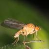 317166 – Photo : Simon Thevenin – France (13)