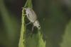 317576 – Photo : Simon Thevenin – France (34)