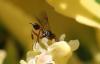 317707 – Photo : Jean-Sébastien Carteron – France (67)