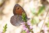317636 – Photo : Jessica Joachim – France (09)