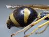 317861 – Photo : Redon Victor – France (68)