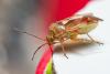 317783 – Photo : Cédric Mondy – France (94)