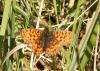 317102 – Photo : Catherine Reymonet-Smitten – France (31)
