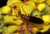 317987 – Photo : Vincent Derreumaux – France (26)