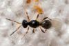 318310 – Photo : André Burgers – Espagne