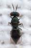 318671 – Photo : André Burgers – Espagne