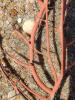 318331 – Photo : Guillaume JACQUEMIN – France (34)