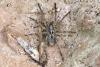 318115 – Photo : D. Martinez – Philippines