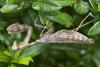 318159 – Photo : D. Martinez – Philippines