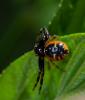 318485 – Photo : lguez – France (91)