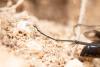 318017 – Photo : Jessica Joachim – France (09)