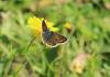 318829 – Photo : Philippe Fourtier – France (06)