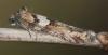 318131 – Photo : Yoann Pelouard – France (72)