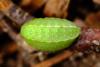 318475 – Photo : Guillaume Huot-Marchand – France (88)