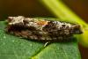 318319 – Photo : Cédric Mondy – France (56)