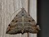 318086 – Photo : Cédric Mondy – France (94)