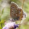318377 – Photo : Cédric Mondy – France (91)
