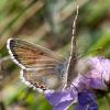 318378 – Photo : Cédric Mondy – France (91)