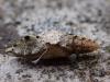 318798 – Photo : Mathieu Junger – France (54)