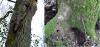 318751 – Photo : Chen – France (60)